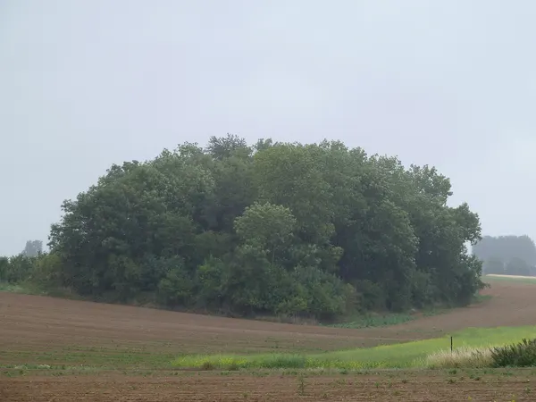 Tumuli de Mirteaux, Wasseiges, Belgique