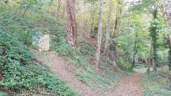 schacht op de helling van de Groeve Ternaaien-Beneden, Klein-Ternaaien / Kanne, België