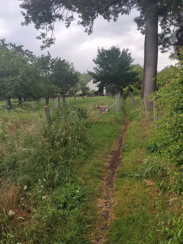 foot path @ coordinates 50.748829, 4.866123