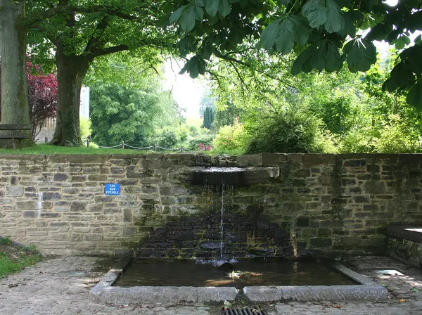 Daverdisse (Belgium), the old public fountain.