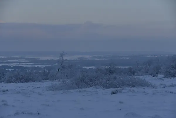 Vue des Hautes Fagnes sous la neige.