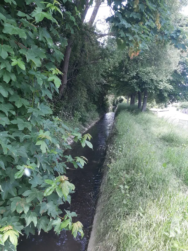 bief du Moulin Valoir