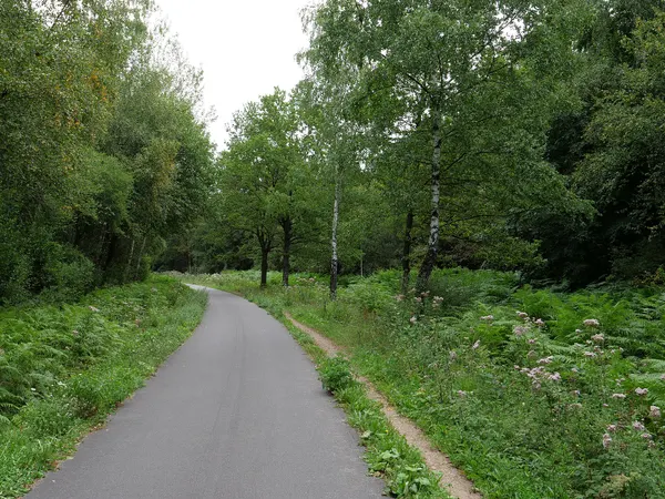 Vennbahn zwischen Aachen und Lammersdorf im September 2019.