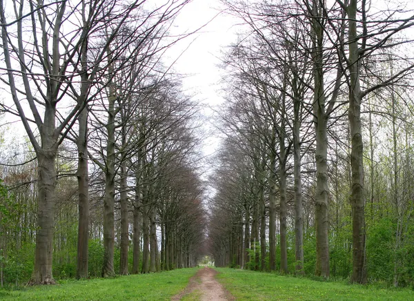 Dreef kasteel Bovelingen