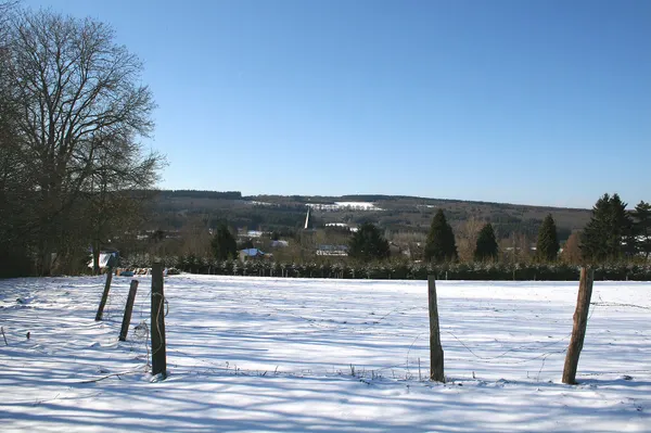 Journal (Tenneville) (Belgique), rue Trompe-Souris - Le village en hiver.