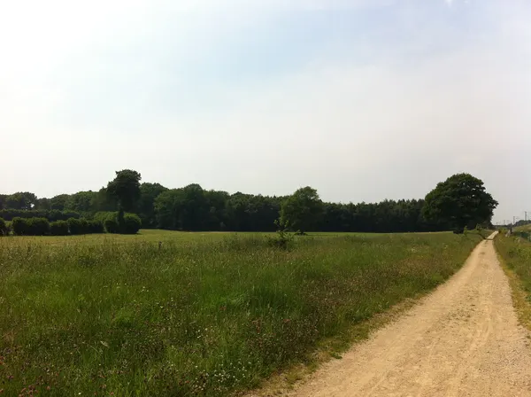 Zicht op Grunhaut vanuit het oosten