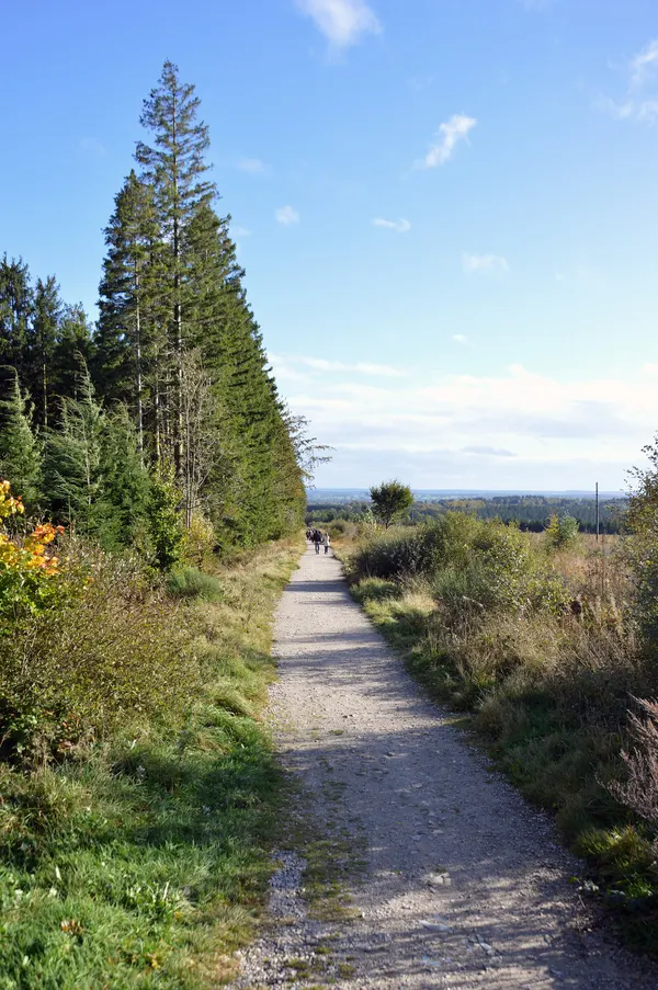 Path between Bois de Sourbrodt and Les Tailles, Waimes, 2023