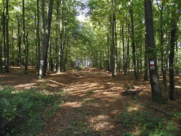 The ex-vicinal railway between Marche-en-Famenne and Bastogne close to Champion