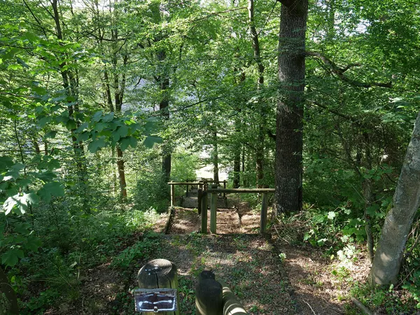 Osthertogenwald im Hohen Venn in Wallonien im September 2019.