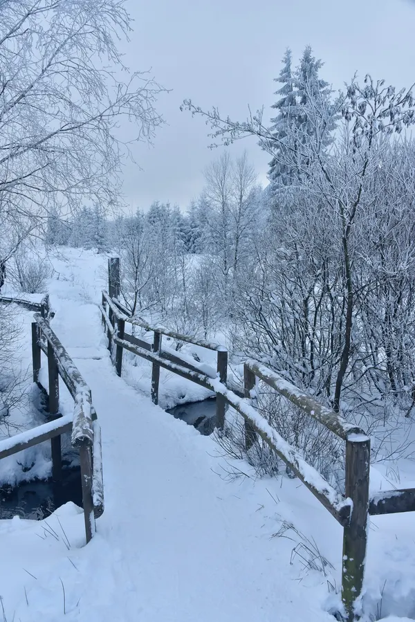 Vue des Hautes Fagnes sous la neige.