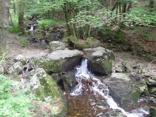Ruisseau de Chefna.