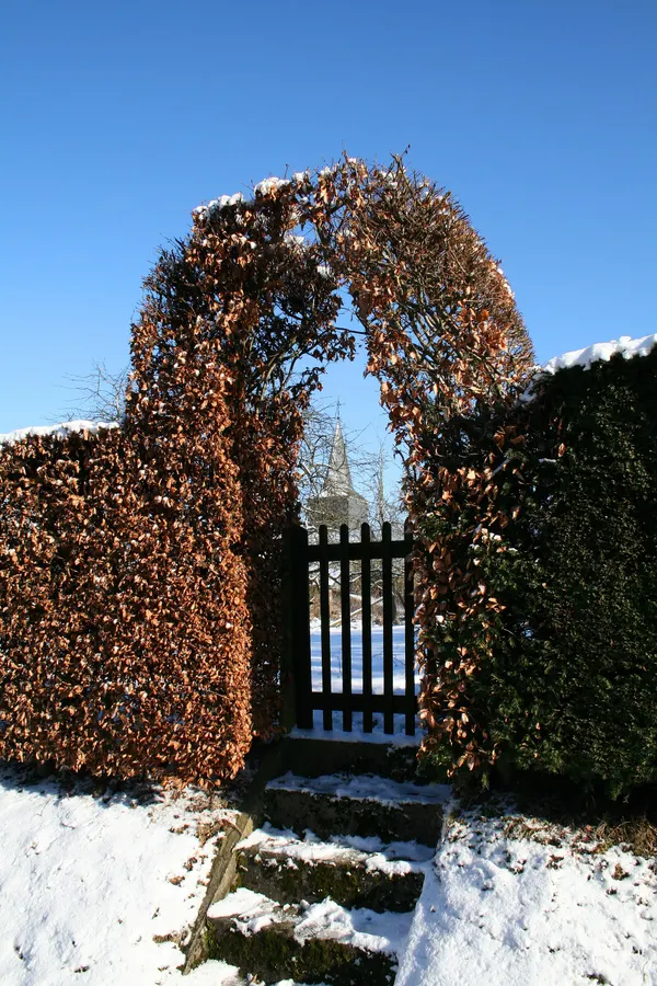 Journal (Tenneville) (Belgique), rue du Pierroux - Portique végétal en hiver.