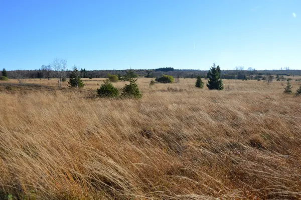 Fagne de la Poleûr in autumn, seen from the south, Waimes and Malmedy, 2021