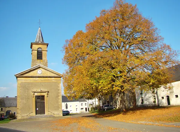 Tilleul Place Saint-Michel à Chantemelle commune d'Etalle