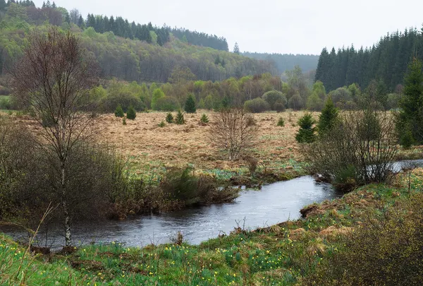 Rur stream and the High Fens along the RAVeL L48 in Bütgenbach, Belgium