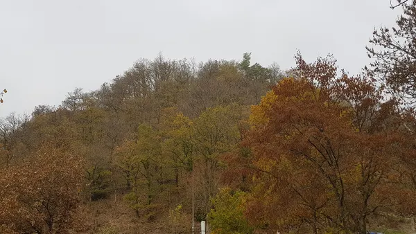 Ouren-Schiebachtal