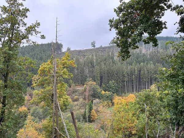 Réserve naturelle du Colanhan.