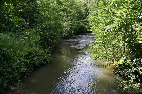 Le Bocq near Chansin, Yvoir, 2025