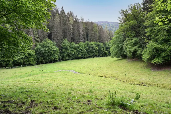Location (lieu-dit) Kakigt in the valley of the brook of Kakebaach in the Luxembourg commune of Rambrouch, close to the Belgian border.