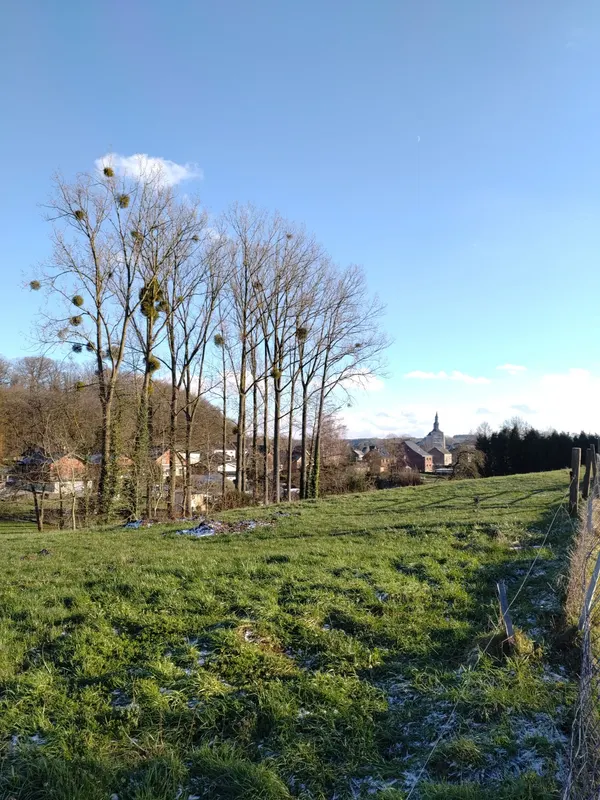 Au loin, la Collégiale St Feuillen de Fosses-la-Ville