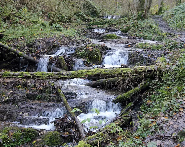 Waulsort (Hastière, Belgium): the Cascatelles