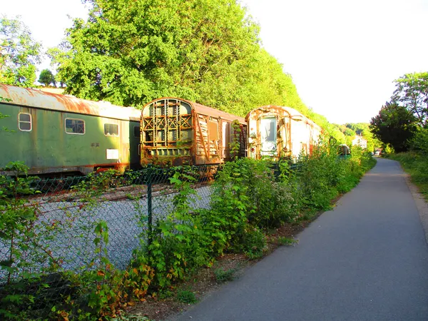 Treinen op station Hombourg