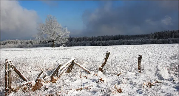 Malchamps Belgium