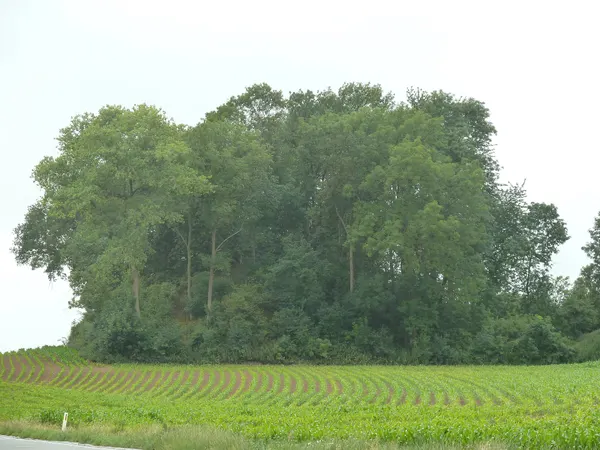 Tumuli du Soleil, Ambresin, Wasseiges, Belgique