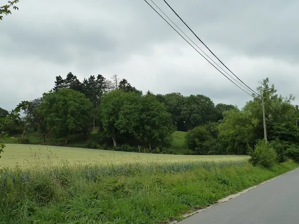 Butte Saint-Sauveur, Braives, Belgique