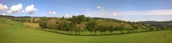 Les pelouses calcaires du coteau de Mont (3 ha), abandonnées par l’agriculture, étaient en voie avancée de recolonisation forestière,…