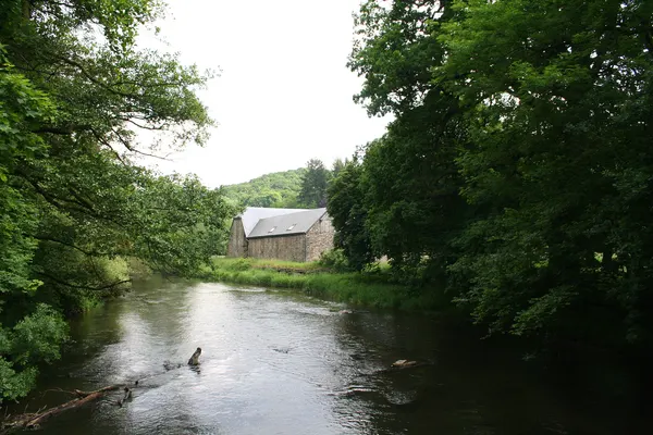 Daverdisse (Belgium), the Lesse river and the Mohimont farm where the prince Pierre Bonaparte has lived (1838-1848).