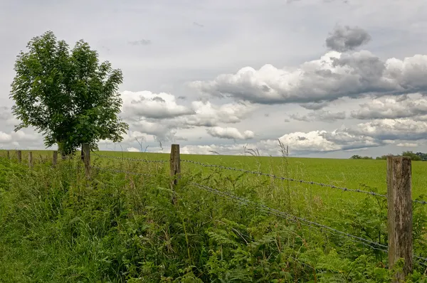 Landscape in Forêt (Trooz) under a cloudy sky