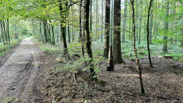 Borne frontière (Belgique-Luxembourg) n° LB104