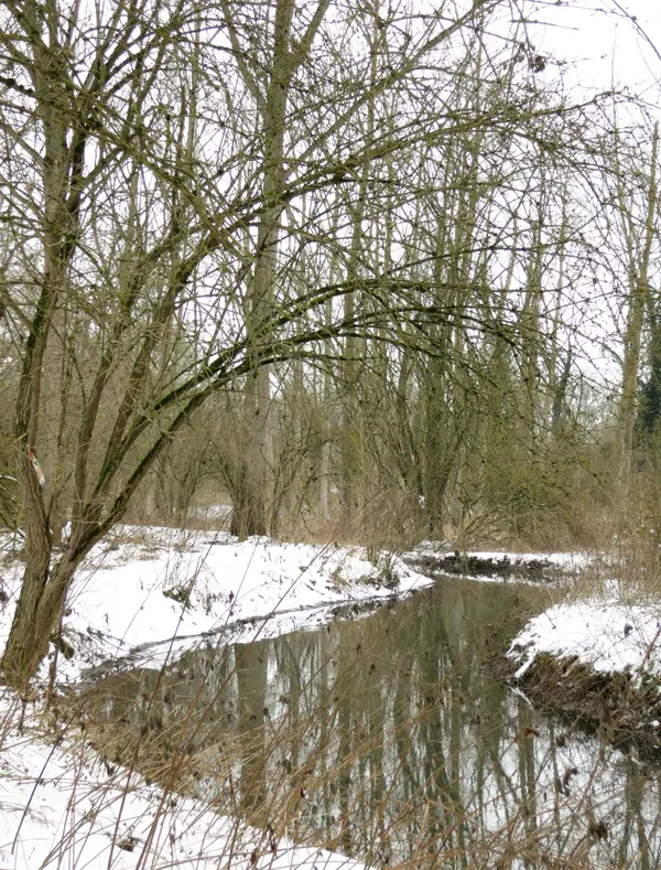 De Geer (Hollogne sur Geer)