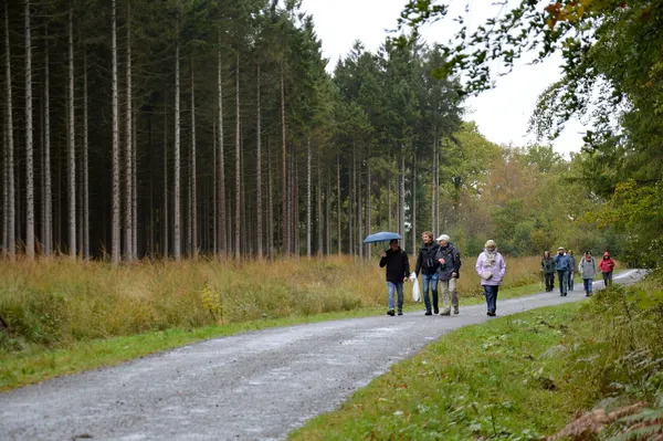 Hiking in Osthertogenwald near Mospert, Eupen, 2023