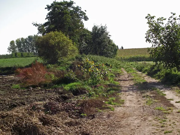 Vicinal railway trace in the direction of Ambresin.