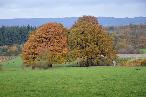View of the Oppagne dolmen and menhirs site from the southeast, Wéris, Durbuy, 2023
