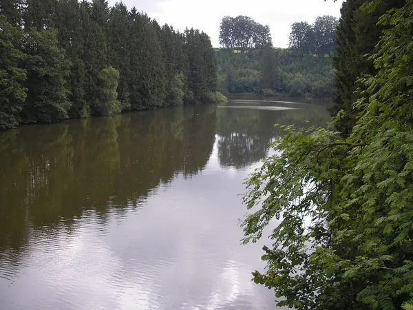 Stausee von Robertville bei Outrewarche