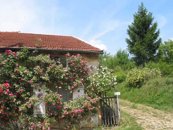 Torgny, la maison aux rosiers.