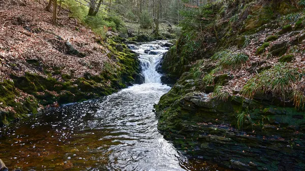 Jalhay - Vallei van de Hoëgne Leopold II-waterval 24-02-2021