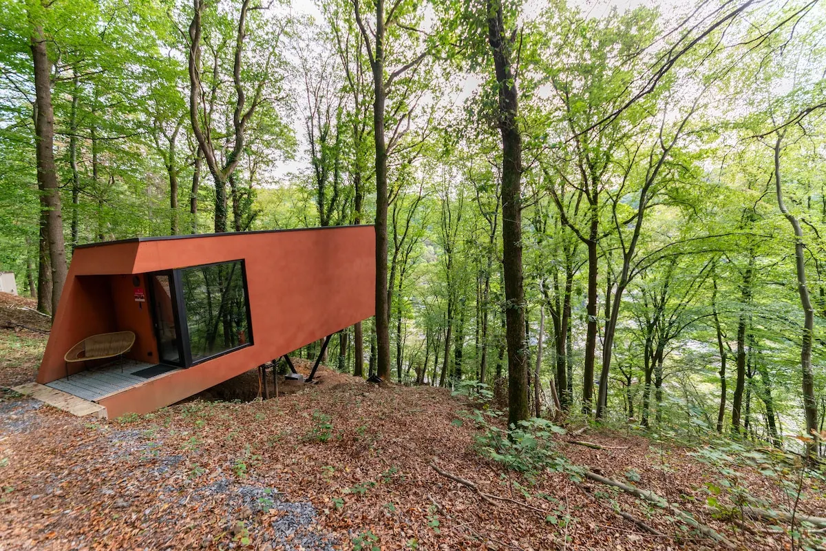 Séneçon des Bois 8 in La Roche-en-Ardenne