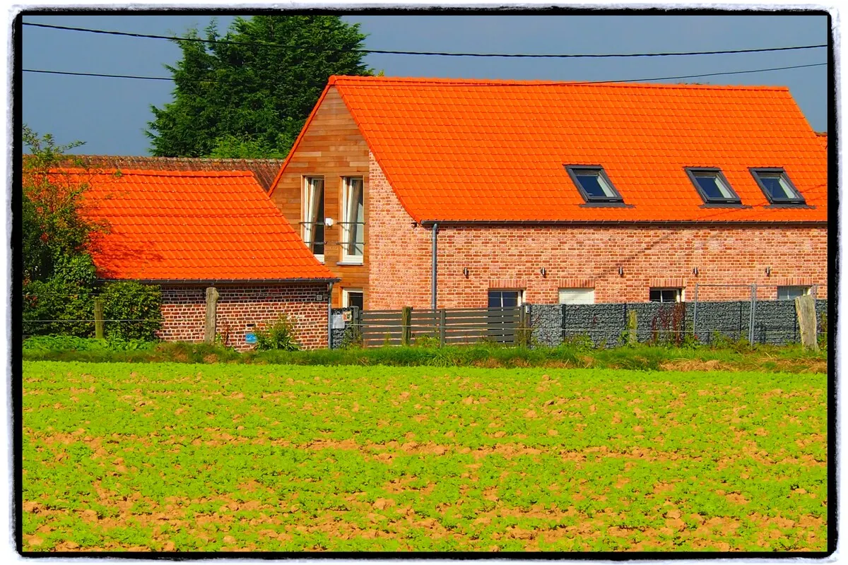 Les Tropiques in Ellezelles
